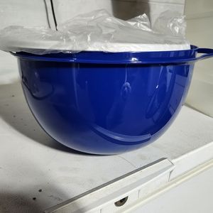 Tupperware thatsa bowl 42 cup